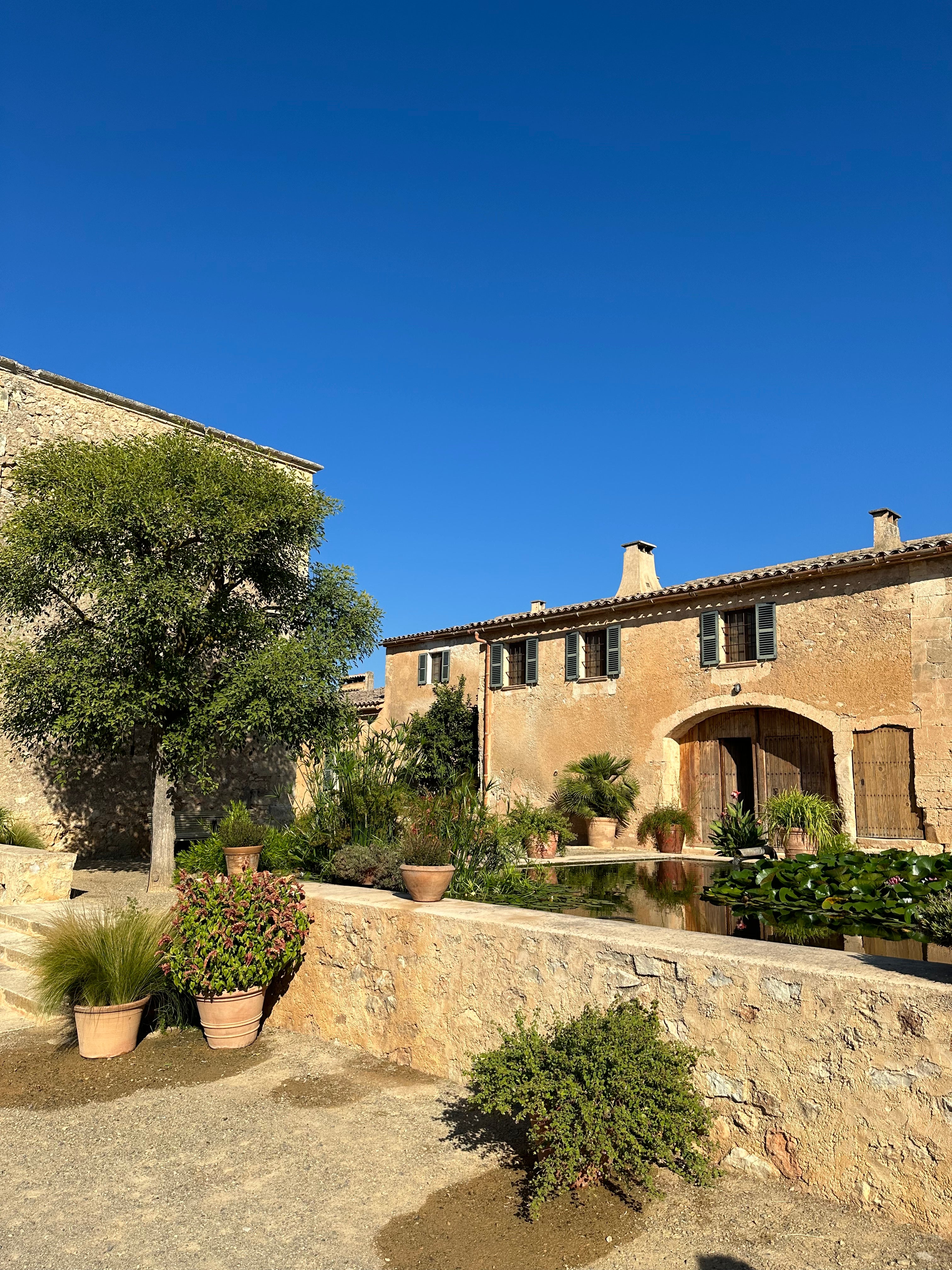 Aubocassa Ólífuolía 250ml